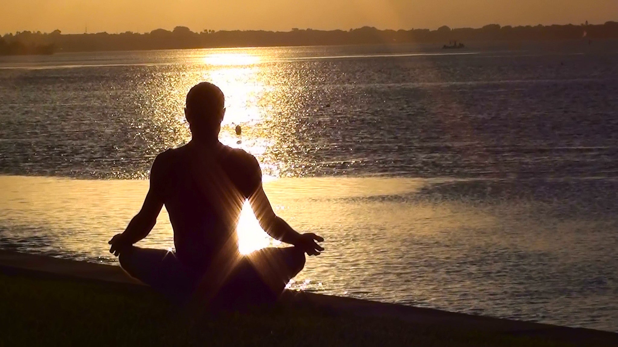 my healthy happy buddha belly