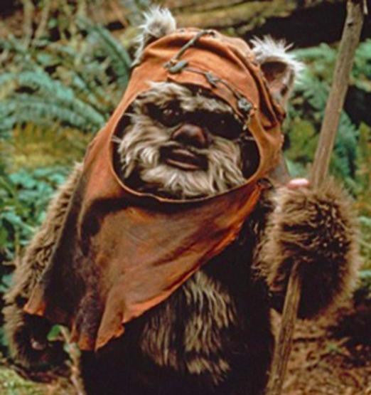Ewoks Don't wear Plastic Yoga Pants